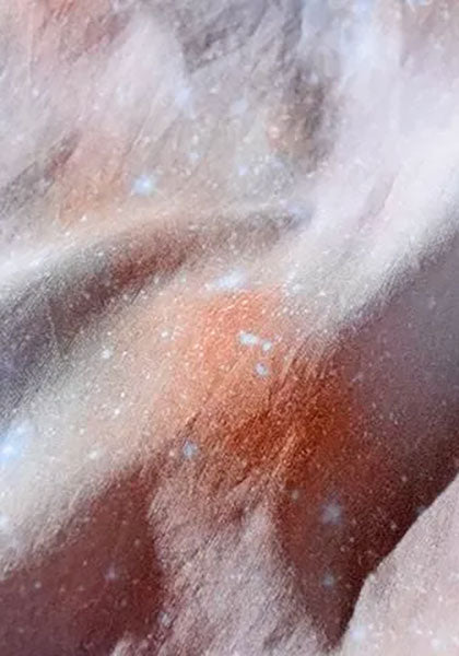 ALDIES アールディーズ | Crystal Shirts カラー:ピンク