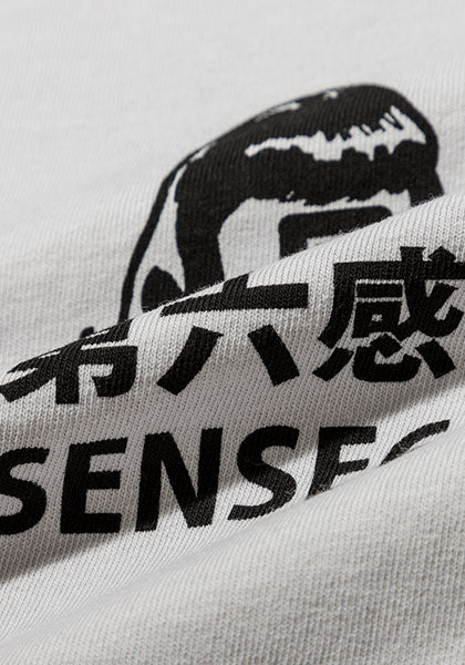 TACOMA FUJI RECORDS タコマフジレコード | 第六感 SENSE6 LS カラー:アイスグレー