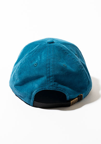 TACOMA FUJI RECORDS タコマフジレコード | UNITY IN DIVERSITY CAP