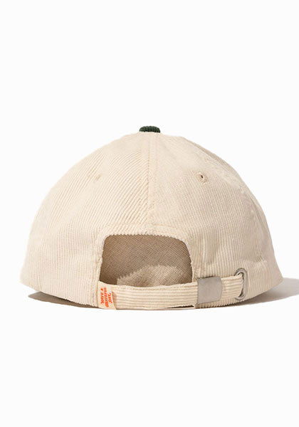 HAVE A GRATEFUL DAY ハブ ア グレイトフル デイ | 5 PANEL CAP -HELIOTROPISM / キャップ
