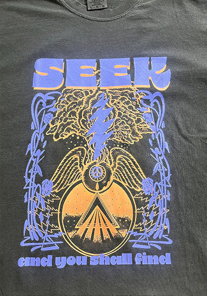 SEEKのDEGARASHIコラボTシャツ。ヴィンテージ風の黒いコットン地に、紫とオレンジのサイケデリックなグラフィックが描かれています。
