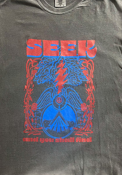 SEEKのDEGARASHIコラボTシャツ。ヴィンテージ風の黒いコットン地に赤と青のグラフィックが映えるデザイン。