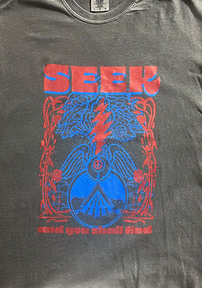 SEEKのDEGARASHIコラボTシャツ。ヴィンテージ風の黒いコットン地に赤と青のグラフィックが映えるデザイン。